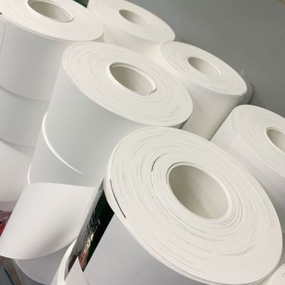 جودة  0.1µM - 5µM Pore Size Nylon (Polyamide) Membrane Filter Circles مصنع